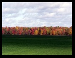 Fall Foliage in Wisconsin on Solie Road in Augusta Wisconsin Autumn