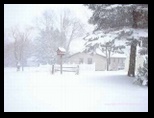 Snowy Day in Wisconsin